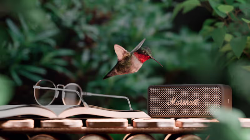Cover image for Marshall Speaker with Humming Bird