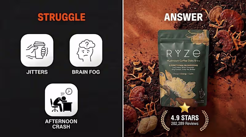 Cover image for RYZE Performance Case Study