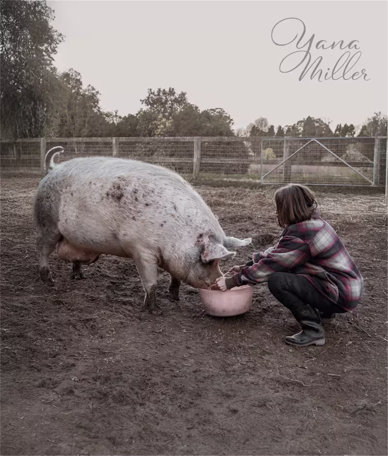 Cover image for Rescue animal farm sanctuary in