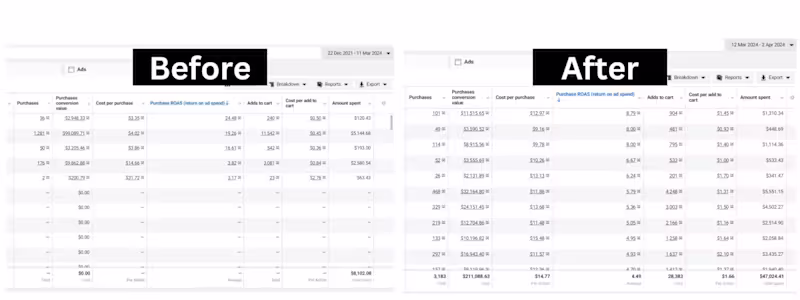Cover image for Scaling Meta Ads for Maximum ROI