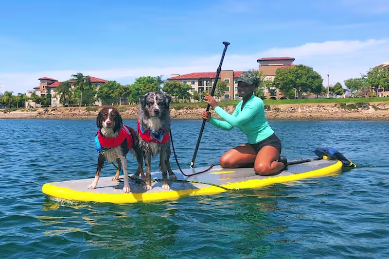 Cover image for Dog Athletes of the Month: Kahlua & Whiskey Advance
