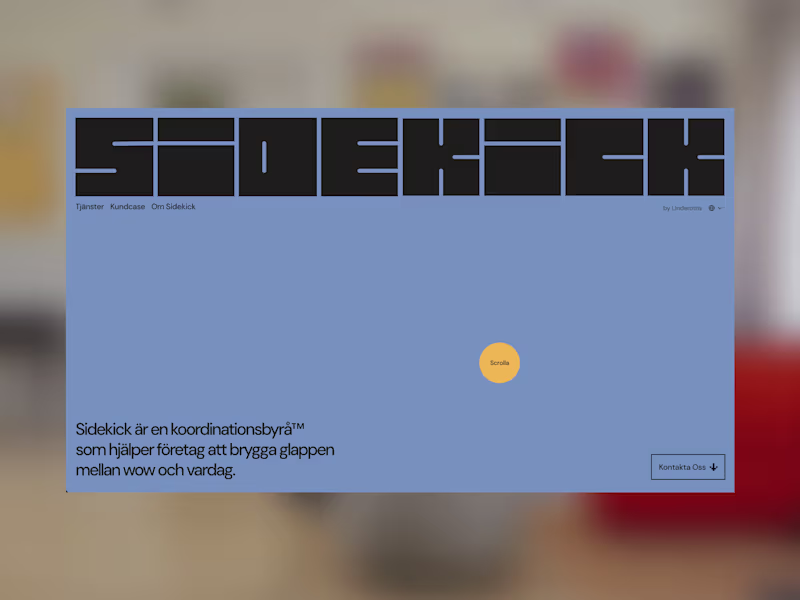 Cover image for Sidekick
