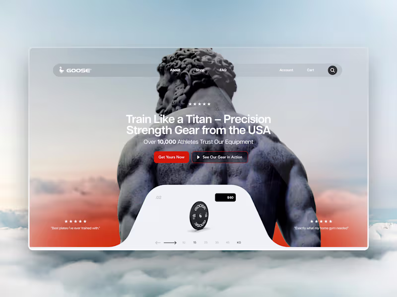 Cover image for Website Design - Goose 
