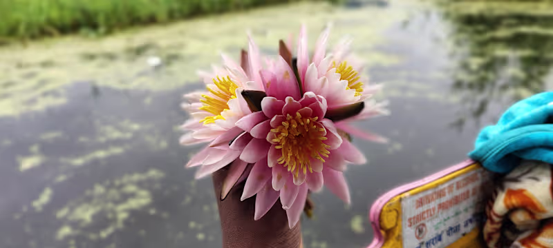 Cover image for Video editor, Photo editor and Designing 