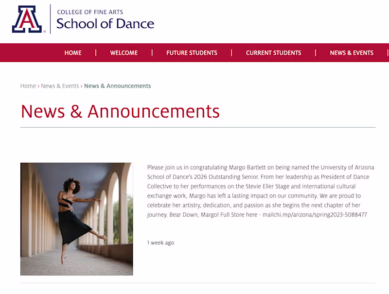 Cover image for Newsletter Writing
