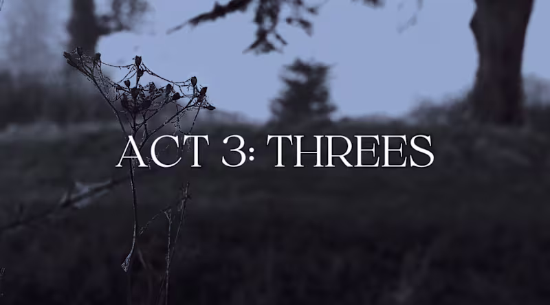 Cover image for Portrait Project: Death Comes In Threes