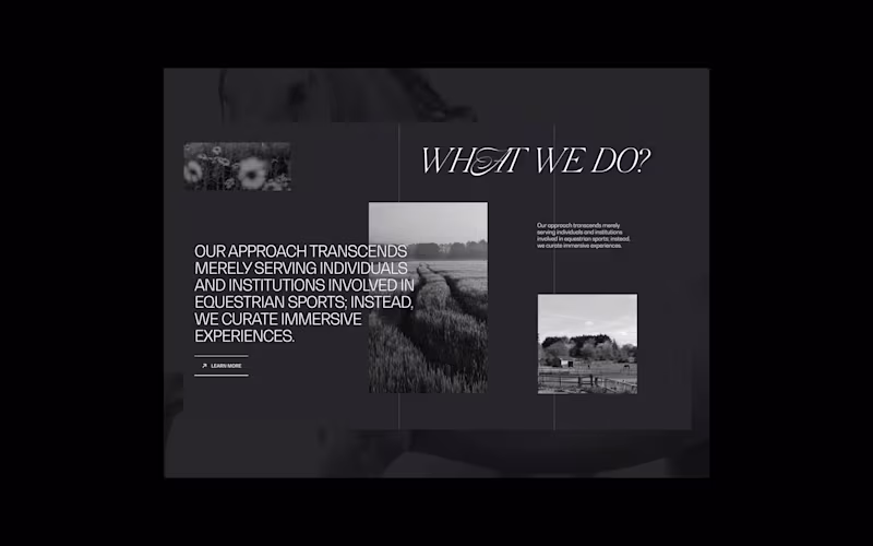 Cover image for Equine Design Studio