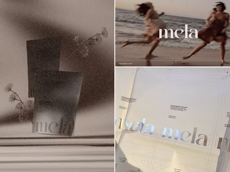 Cover image for MELA