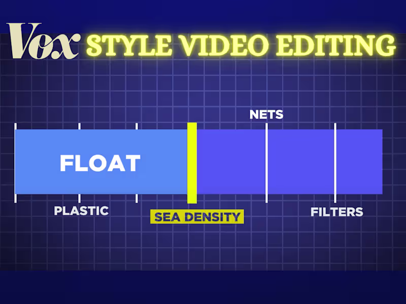 Cover image for Professional fast paced youtube video editing