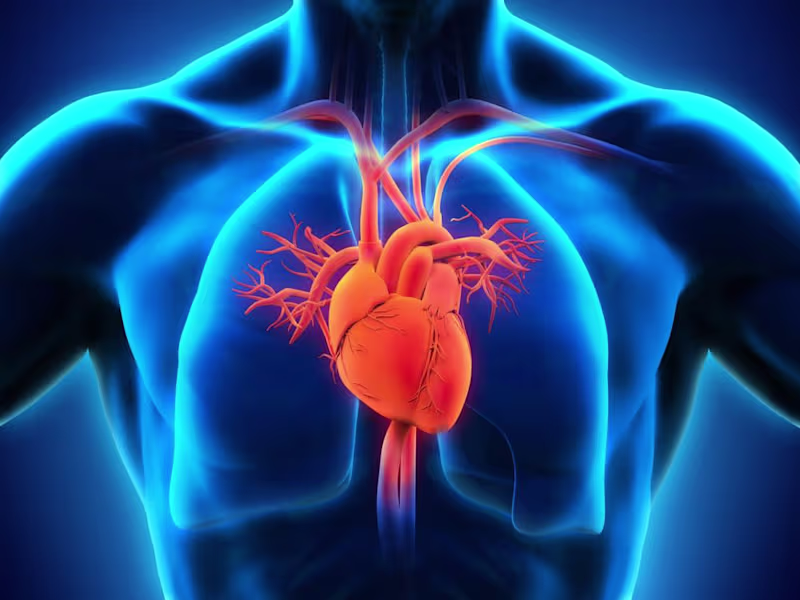 Cover image for GitHub - MorisDe/Heart-Failure-Prediction-with-87-Accuracy