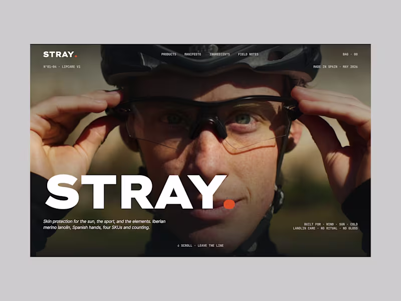 Cover image for STRAY Landing Page Design and Development