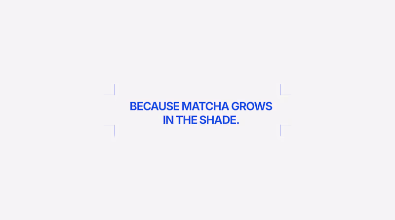 Cover image for Shēdo Matcha Brand Identity Development