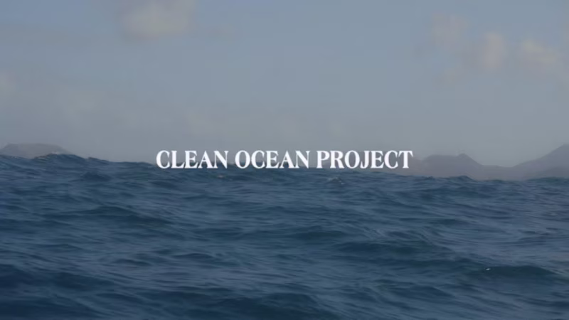 Cover image for 20 years of Clean Ocean Project