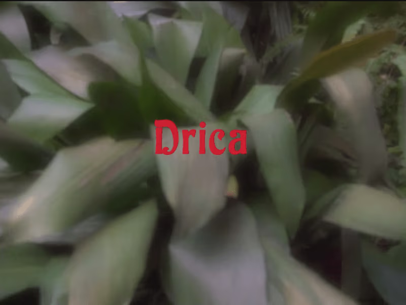 Cover image for Videoclip: Tô te esperando - Drica