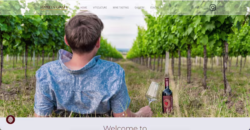 Cover image for Custom Elementor WordPress Website