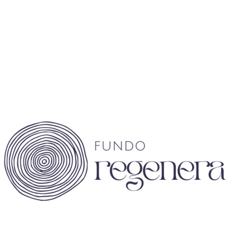 Cover image for Logo and Brand design for a Brazilian Found.