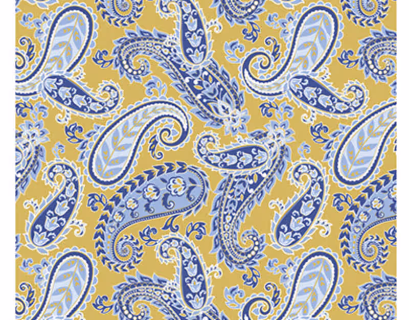 Cover image for Paisley Design