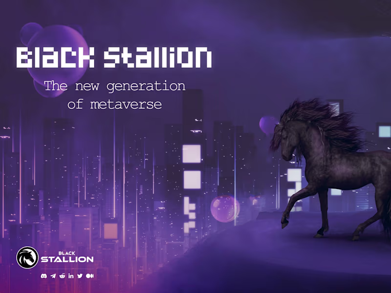 Cover image for Black Stallion