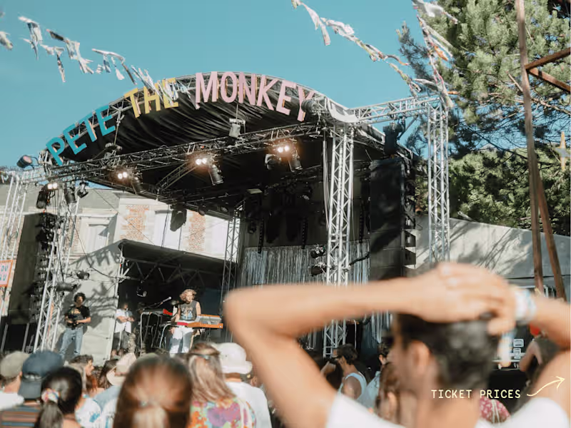 Cover image for Graphic design & art direction | Pete the Monkey festival 2023