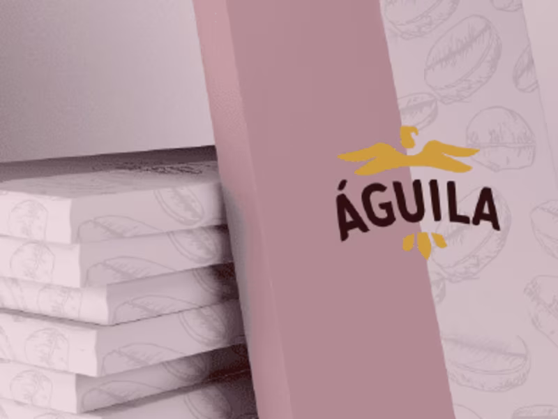 Cover image for Águila