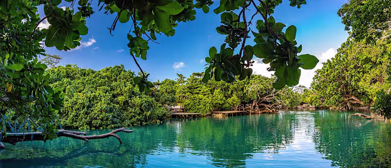 Cover image for Travelling to Vanuatu: What to know before you go