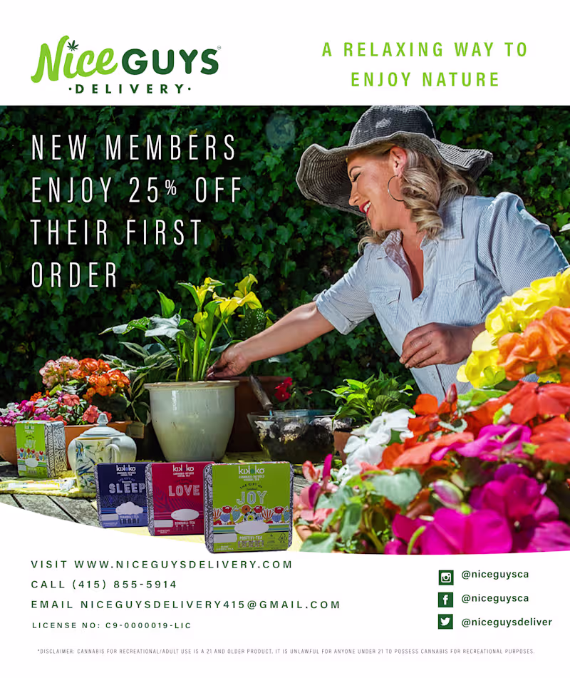 Cover image for Print Ads & Digital Marketing for Nice Guys Delivery