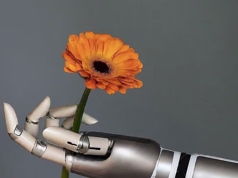 Cover image for AI-Powered Imagery Enhancement for Custom Client Solutions