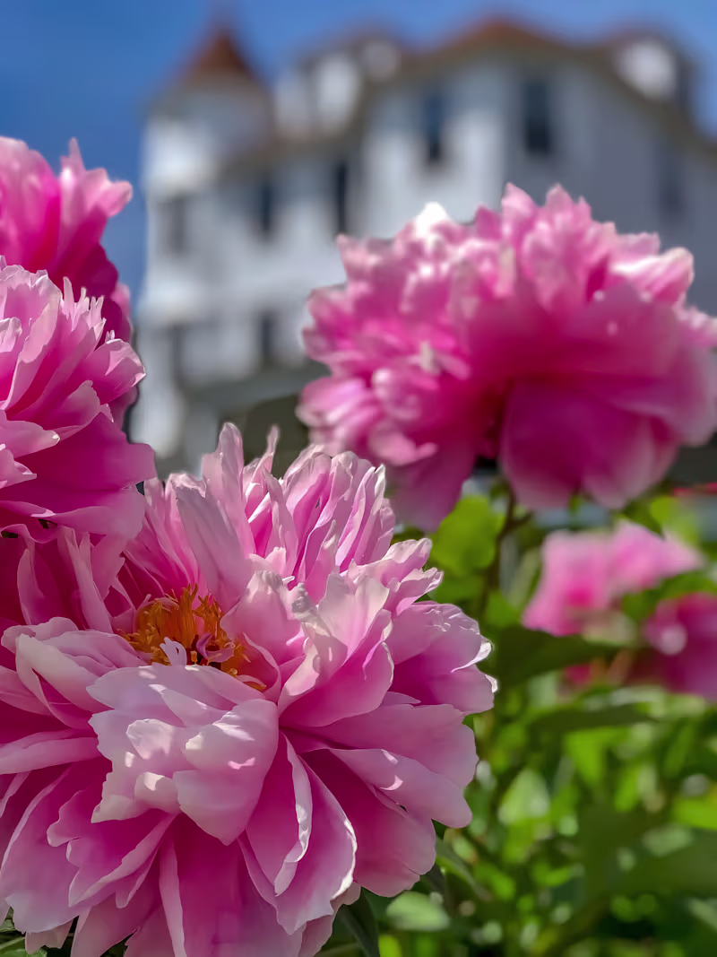 Cover image for Mackinac Island Spring Vacation Destination - Best Time to Visi…