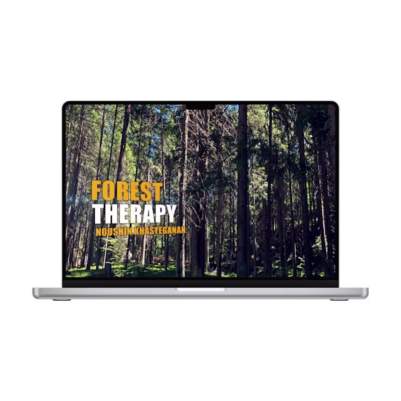 Cover image for This project showcases a high-quality