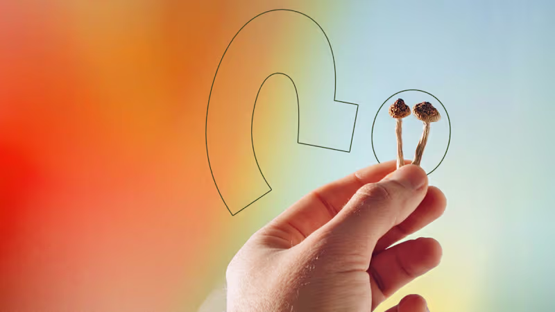 Cover image for SEO Content - How Many Shrooms?
