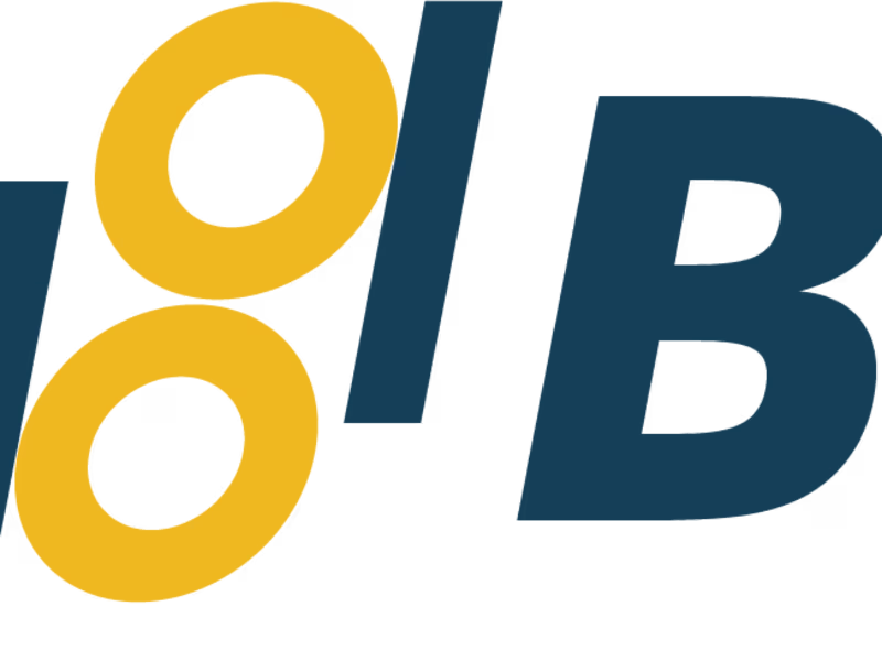 Cover image for Software Engineer for Binary Pay