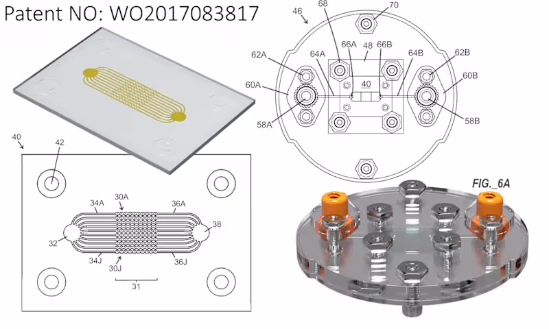 Cover image for Microfluidic Cancer Research Device: Patented Design