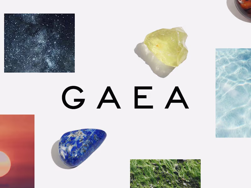 Cover image for Premium Brand Identity, Packaging, Photography & Website | GAEA