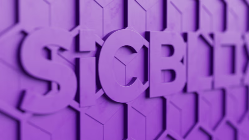 Cover image for Ovivo SiCBLOX