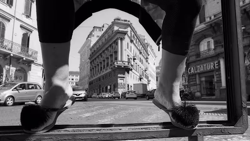 Cover image for The Freedom to See Rome Anew