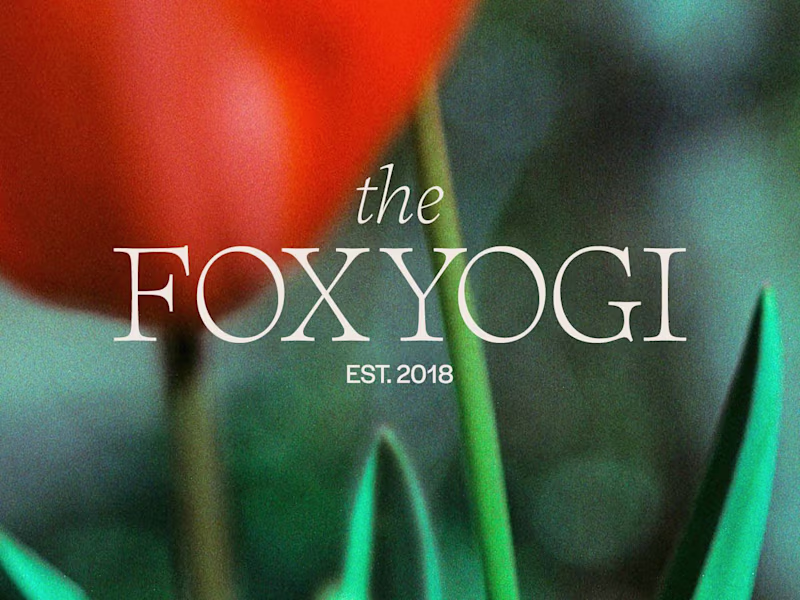 Cover image for The Foxyogi
