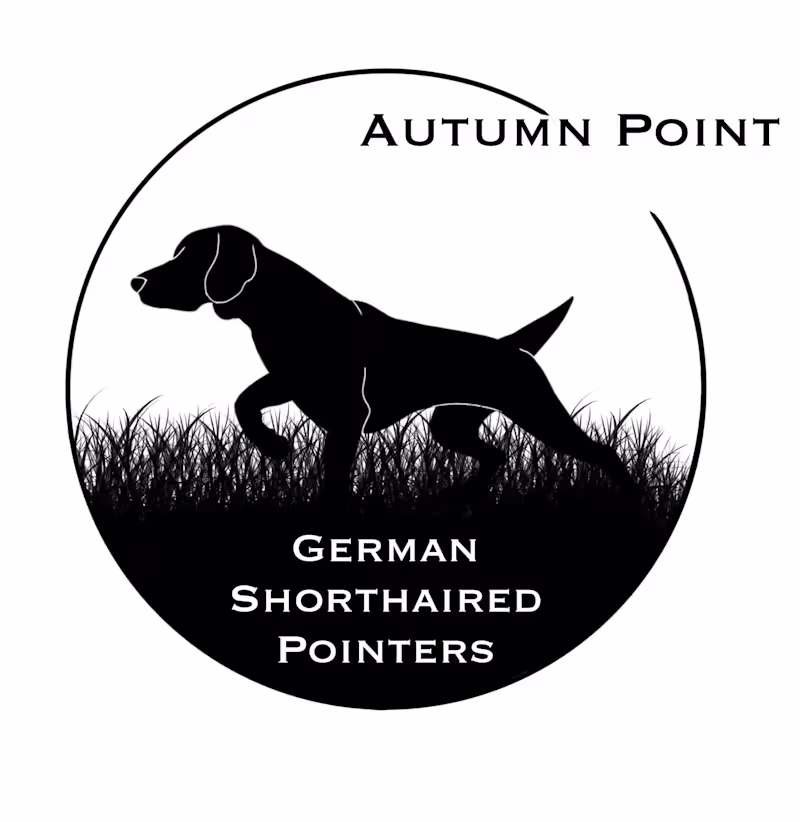 Cover image for Autumn Point Logo