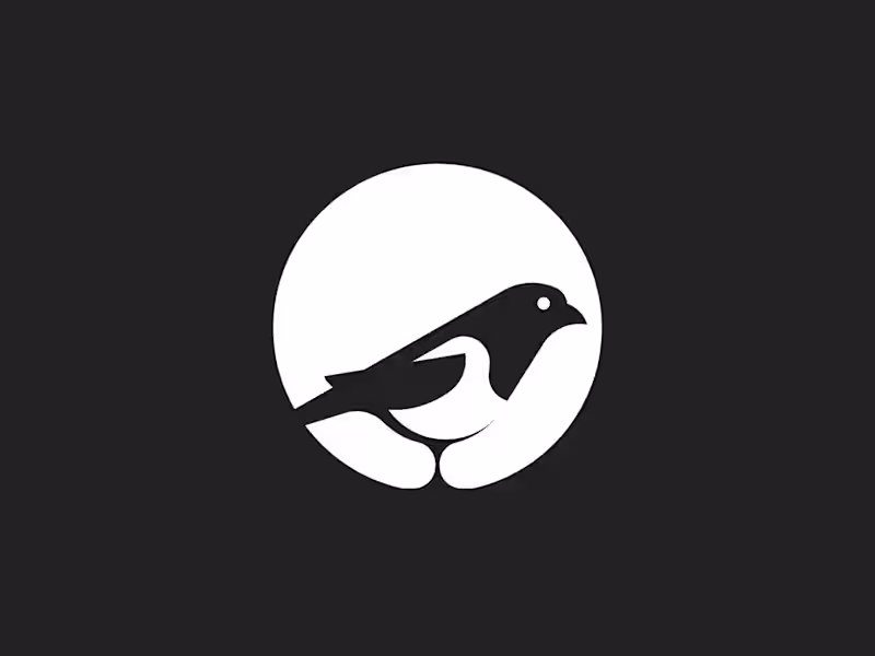 Cover image for Magpie - Illustration