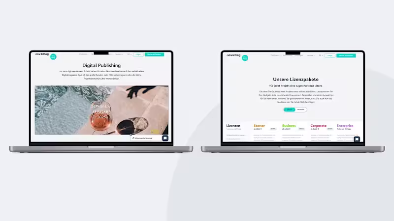 Cover image for Business Dynamics and Digital Products — Redesign of Novamags We