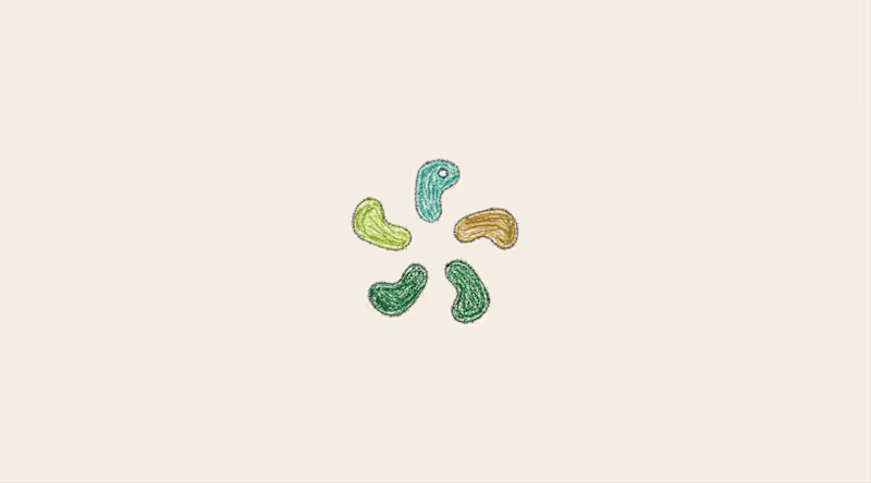 Cover image for Bosanona Brand Identity