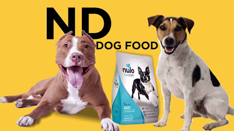 Cover image for N D Dog Food