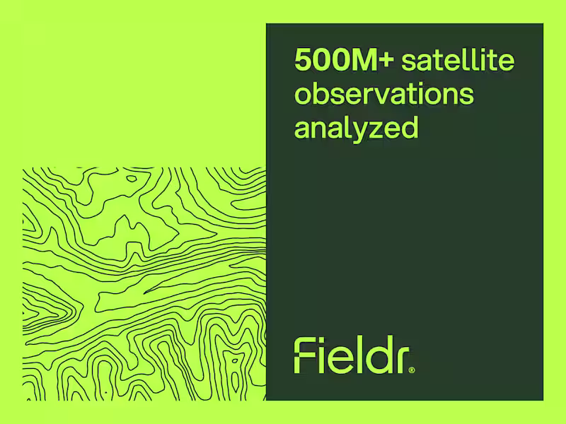 Cover image for Field AIBrand Identity Redesign