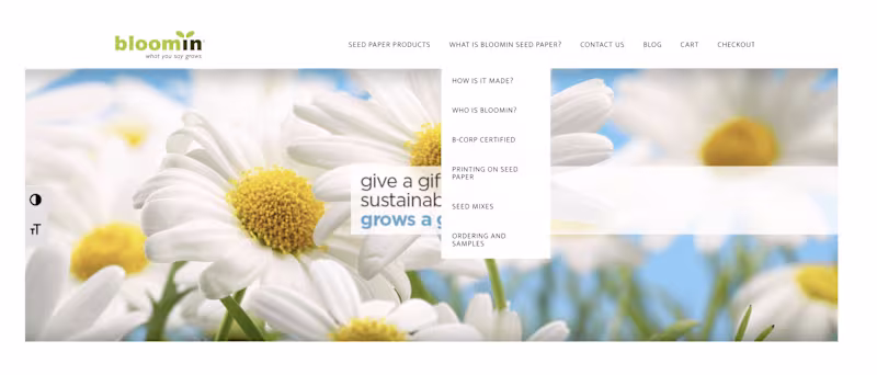 Cover image for Bloomin