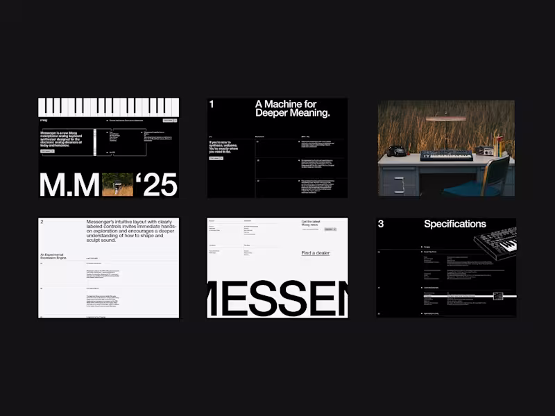 Cover image for Screens for a conceptual site