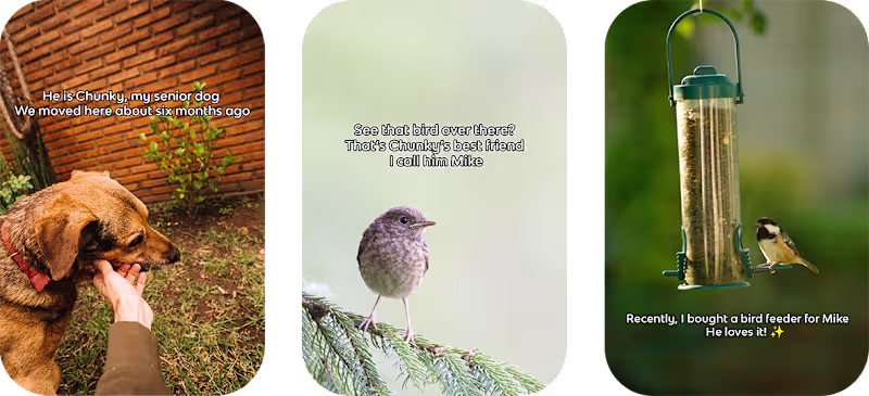 Cover image for Short Stories for Social Media (Image/Video)