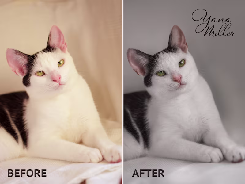 Cover image for Pro photo editing workflow sample