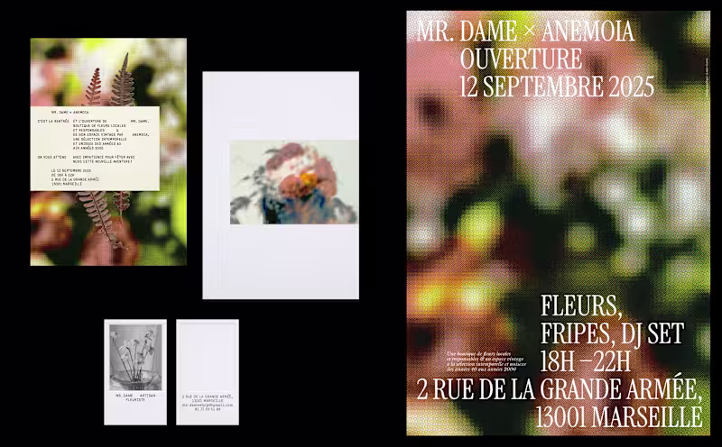 Cover image for Mr. Dame x Anemoia