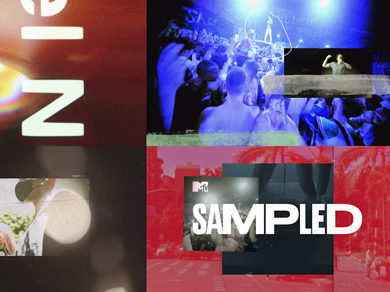 Cover image for MTV Sampled