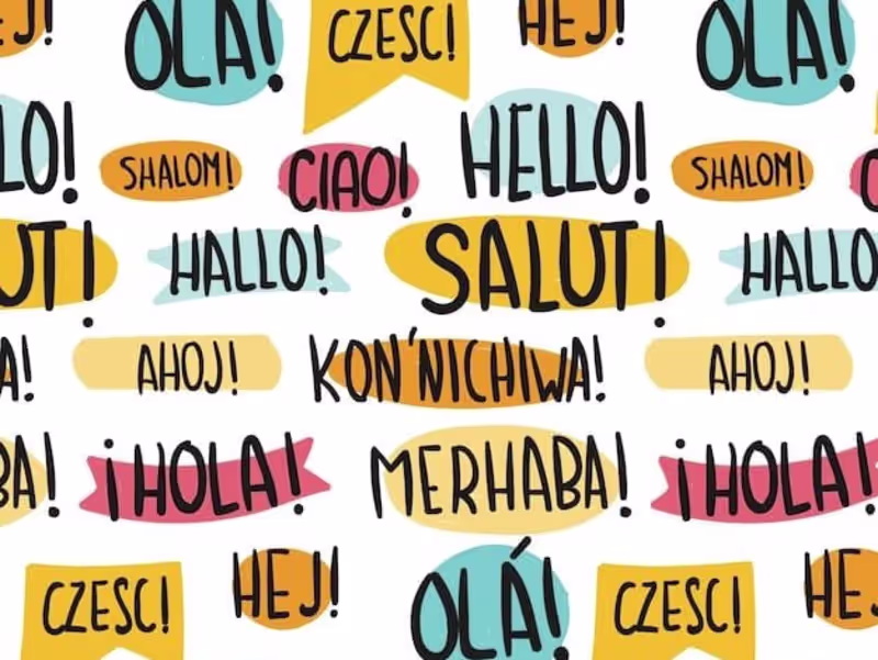 Cover image for Translating tunisia, english ,arabic,french,and basic japanese