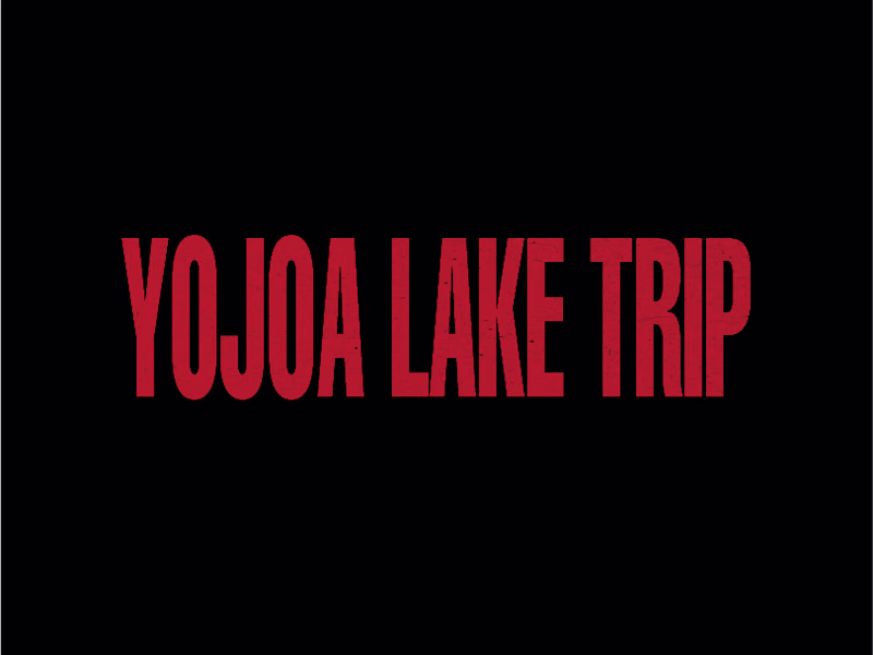 Cover image for VIDEO SHORT